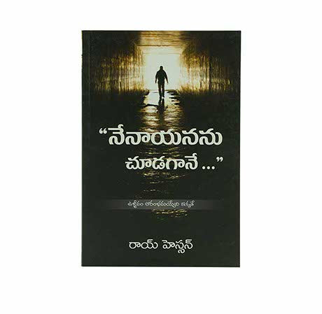 When i Saw him... (Telugu) – BibleStore
