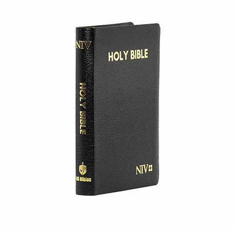 Scripture Capsules NIV Holy Bible Capsule, Black – BibleStore