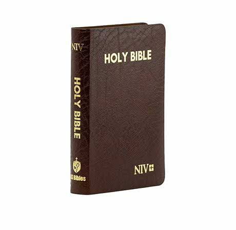 Scripture Capsules NIV Holy Bible Capsule, Cranberry – BibleStore